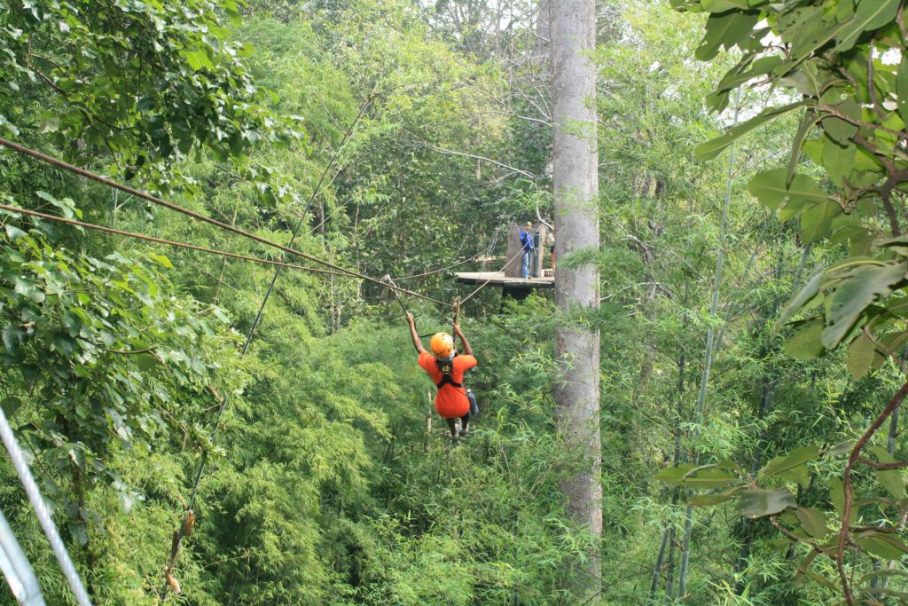 Ziplining in Chiang Mai