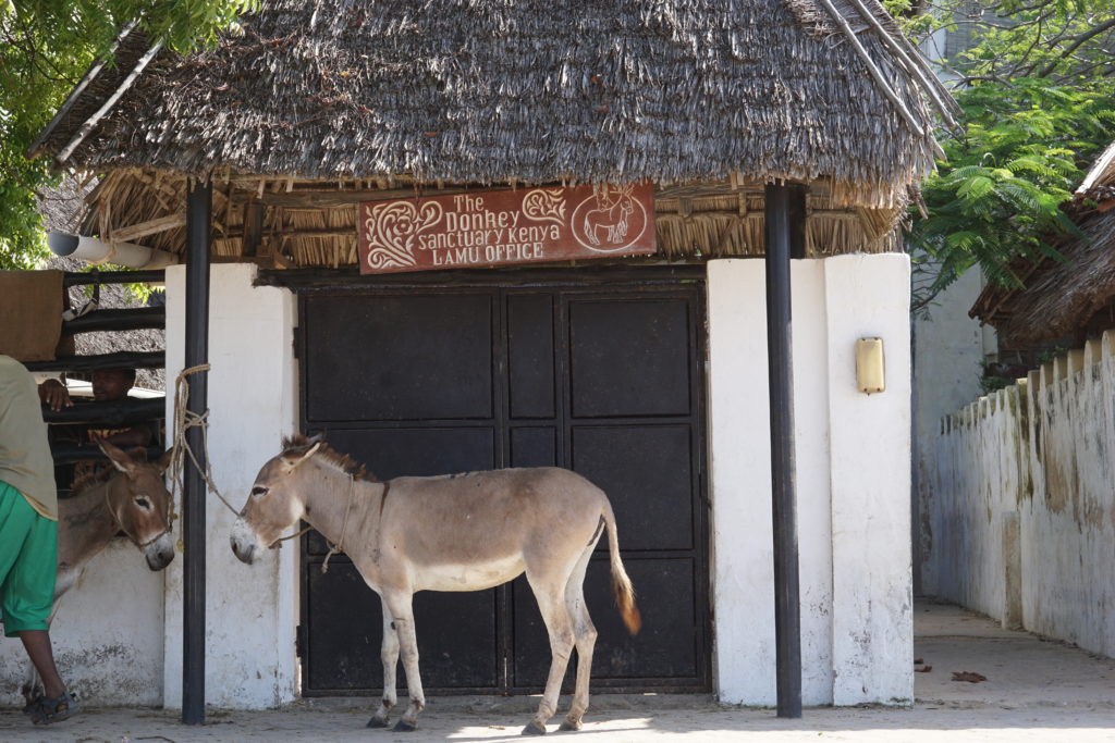 Lamu Donkey Sanctuary
