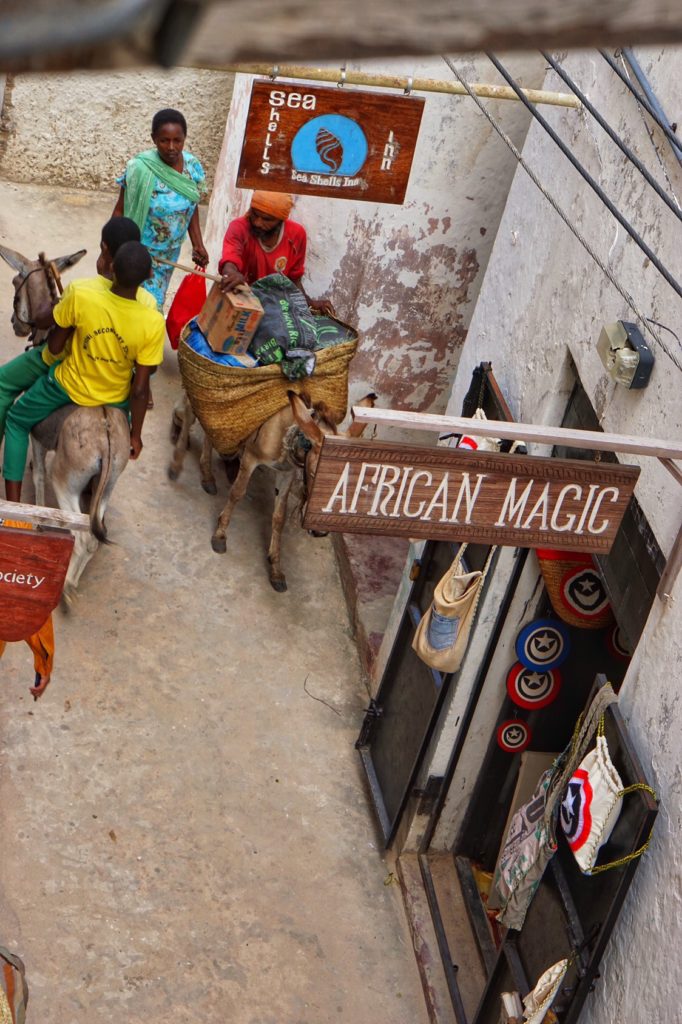 Lamu Kenya
