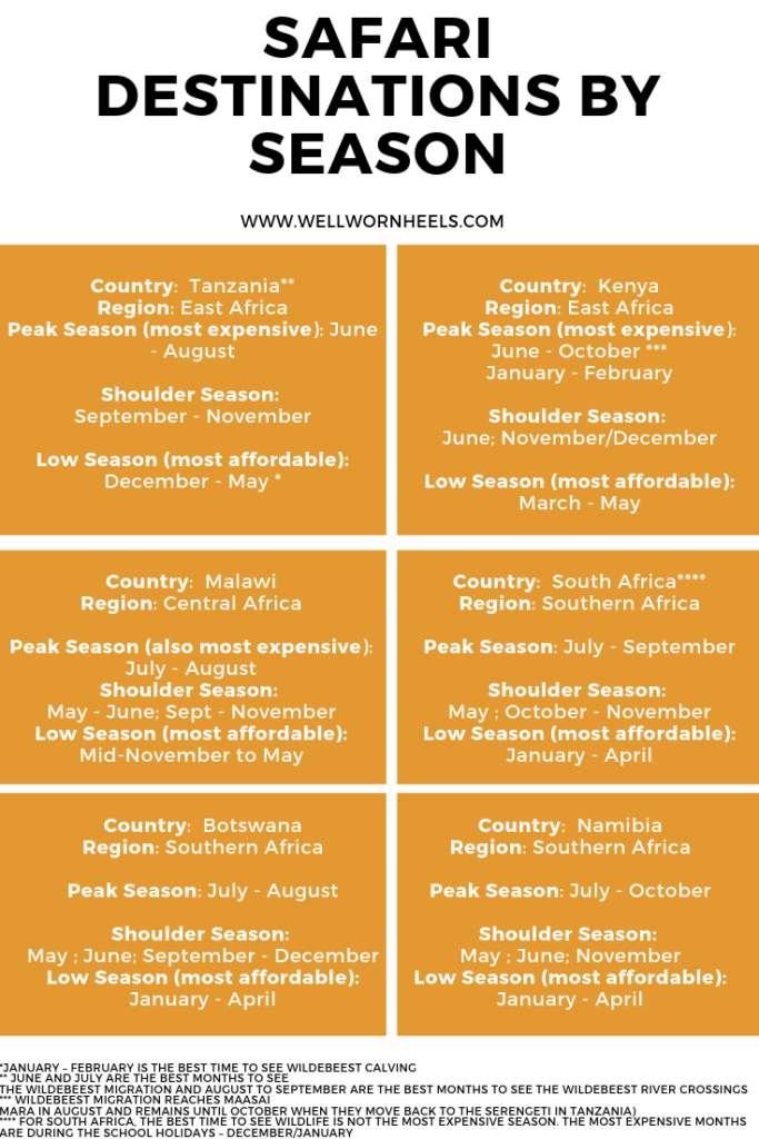 African Safari Options