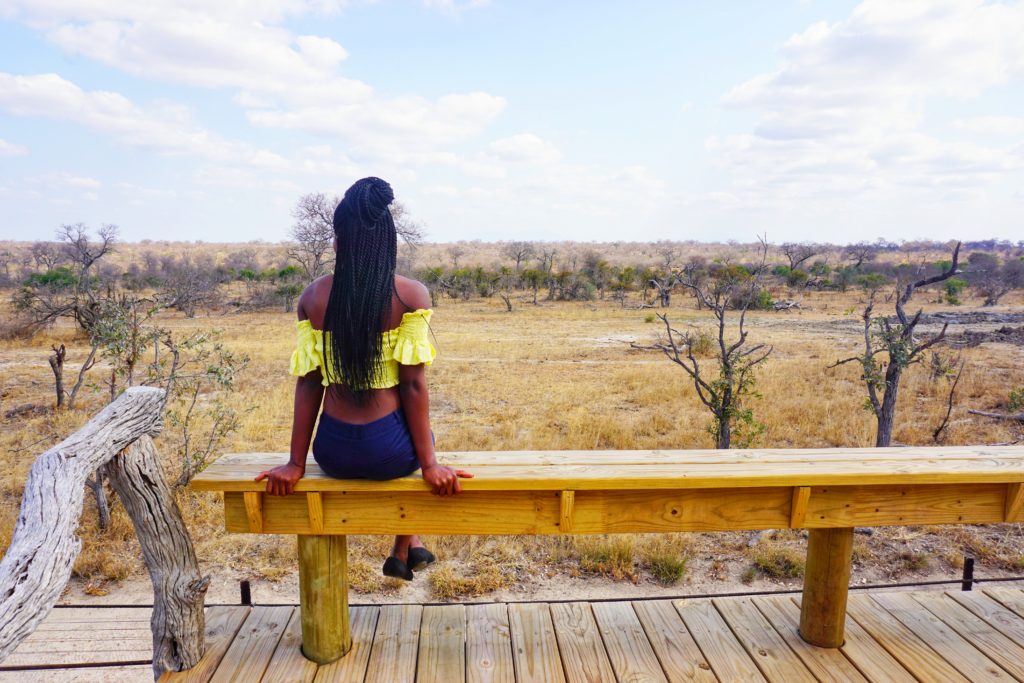 Kruger National Park Safari