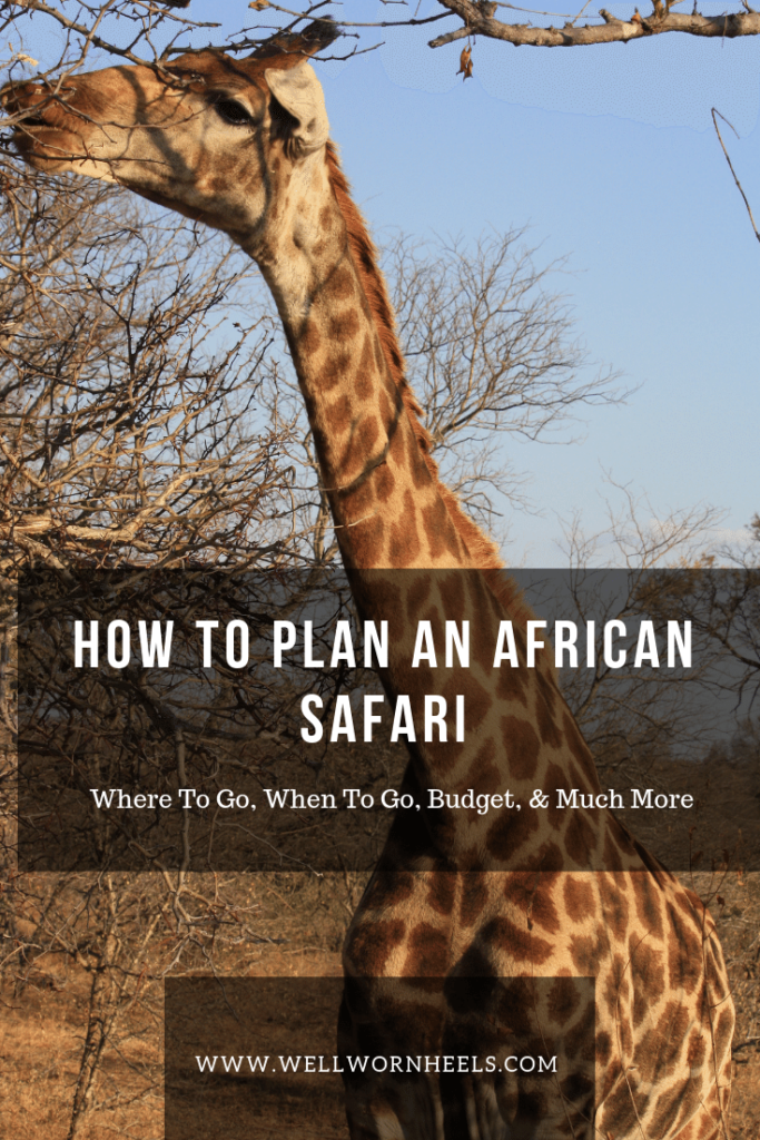 How To Plan an African Dsfari