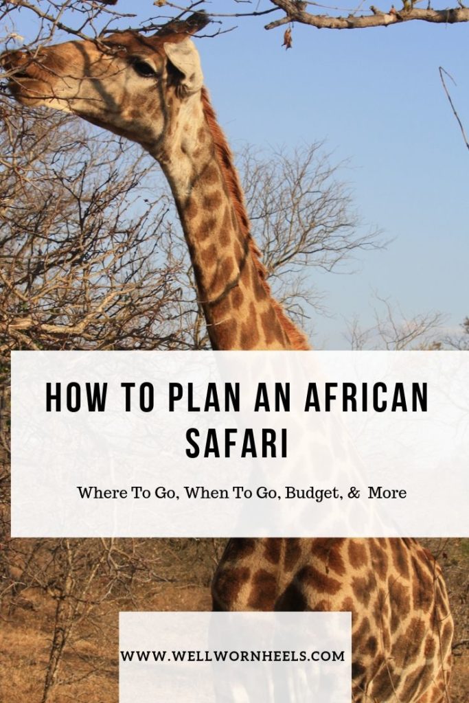 How To Plan An African Safari