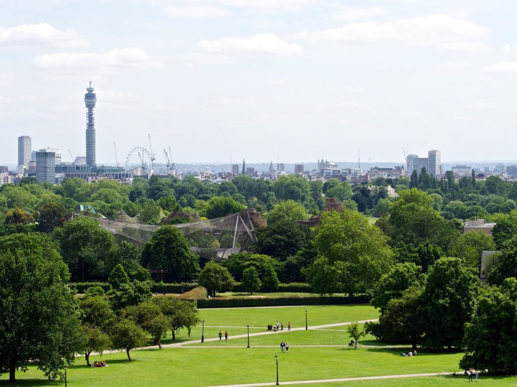 Primrose Hill London Views