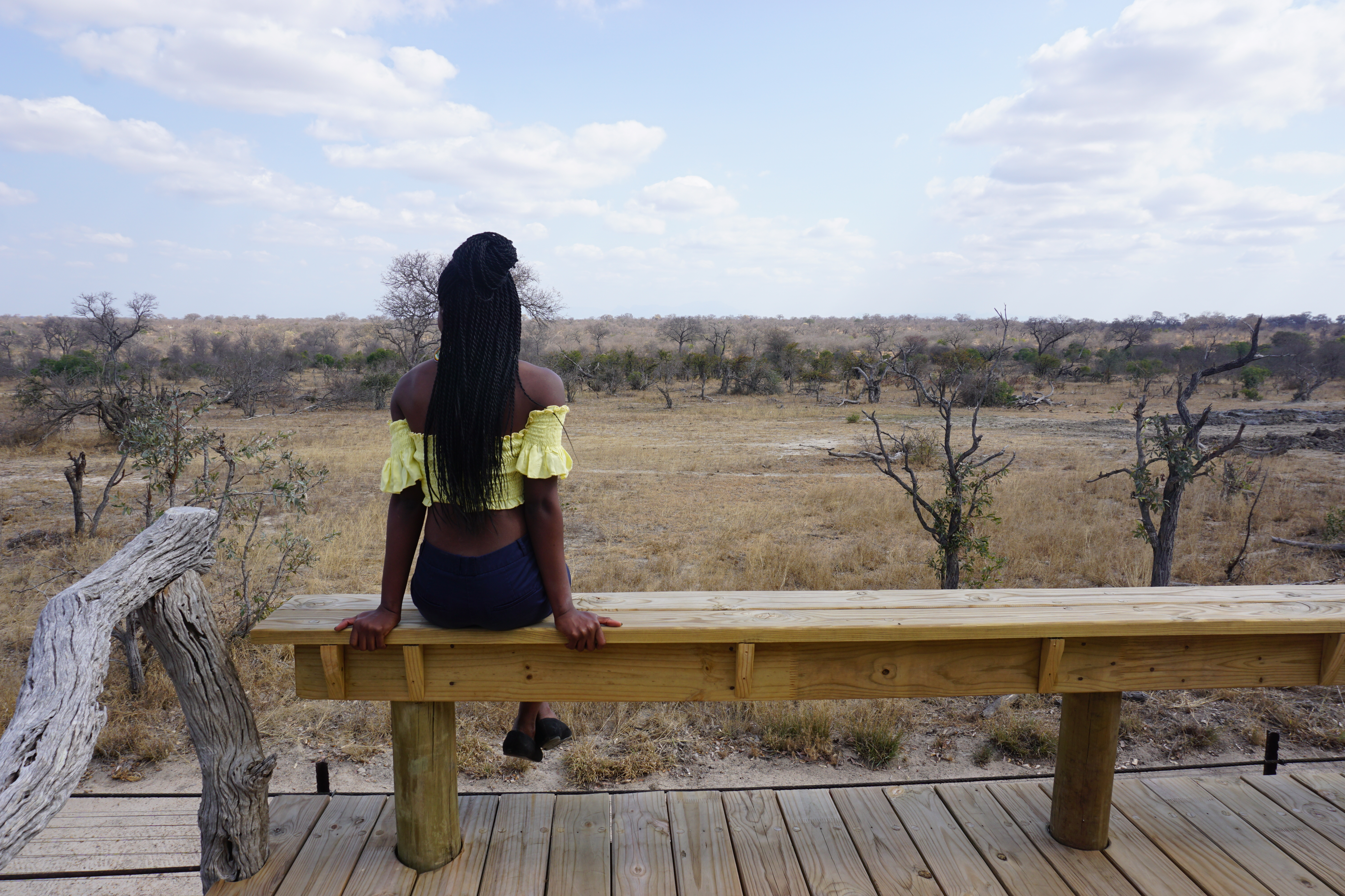 south africa safari