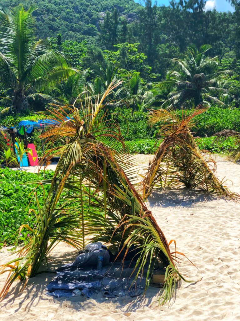 Petite Anse La Digue