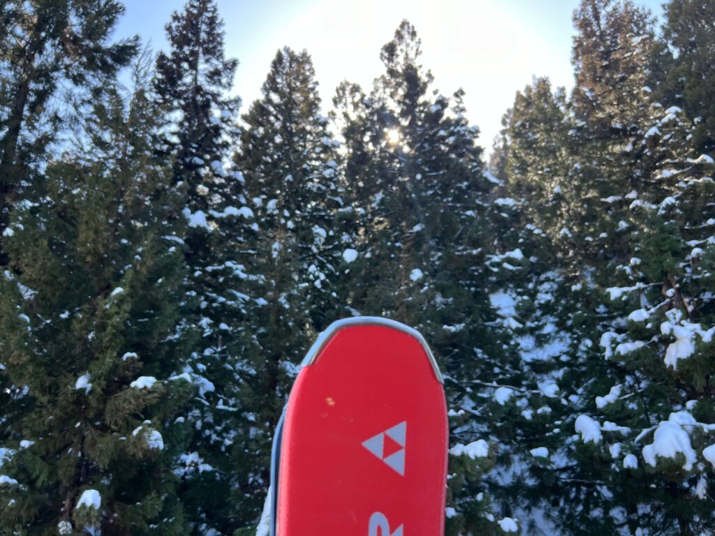Gala Yuzawa Ski Resort Skis