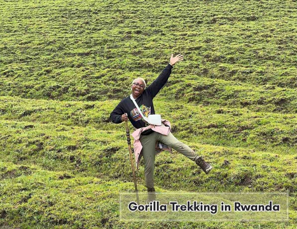 One Day Gorilla Trekking in Rwanda: Useful Tips, Permits, and Review