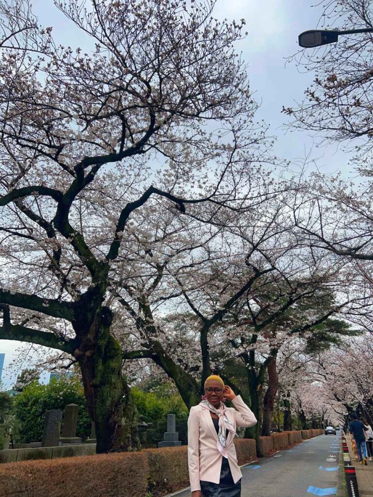 Cherry Blossoms in Ueno Park is a must-see on a Tokyo itinerary.