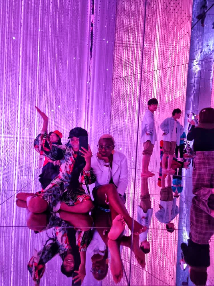 Teamlab Planet is an immersive digital art museum to visit in Tokyo.